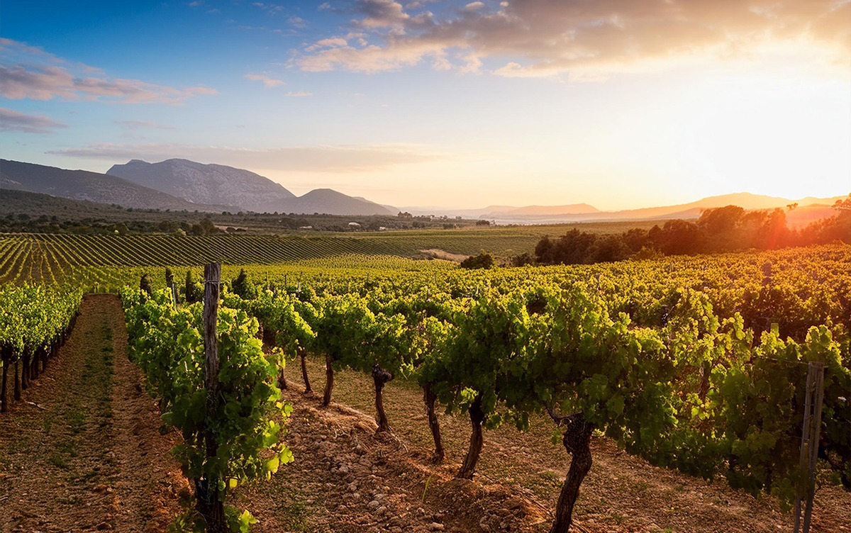 Occitanie-herault-cap-dagde-region-de-passion